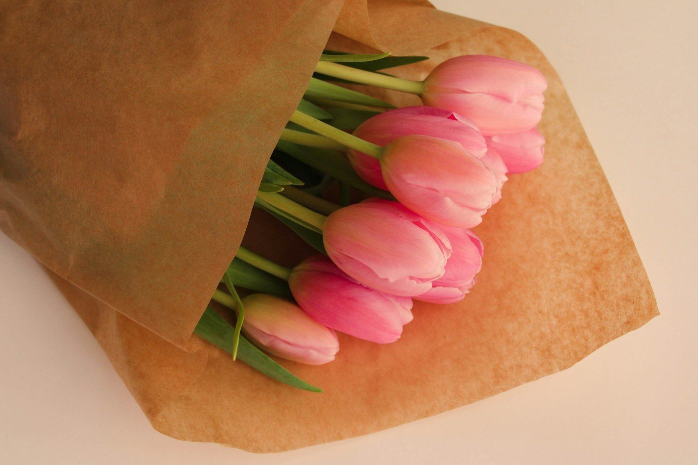 Bó tulip hồng gói giấy kraft nâu trên nền hồng đào